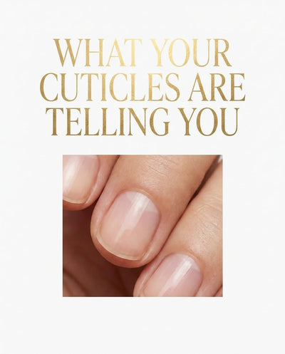What Your Cuticles Are Telling You (PDF)
