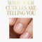 What Your Cuticles Are Telling You (PDF)